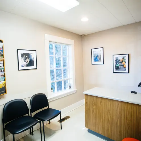 Examination Room at North End Pet Hospital